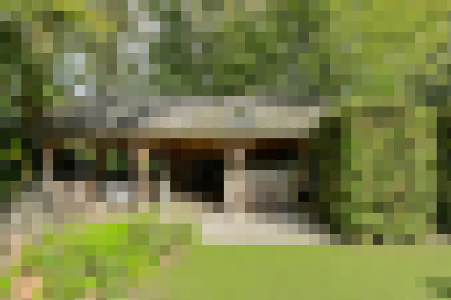 Lage Aard 14 Bavel thumbnail 45