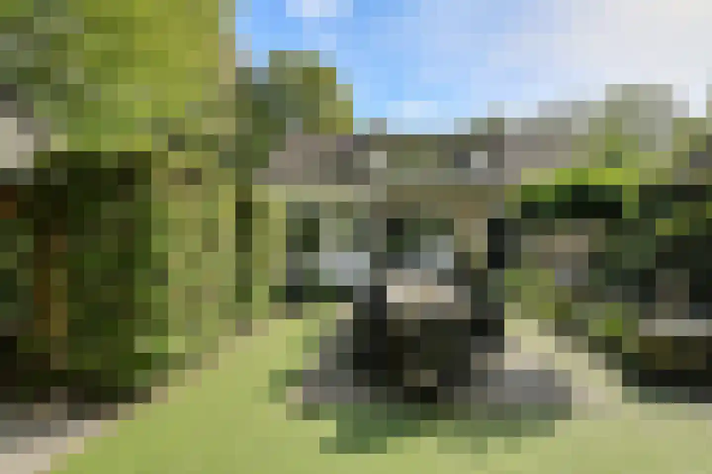 Lage Aard 14 Bavel thumbnail 46