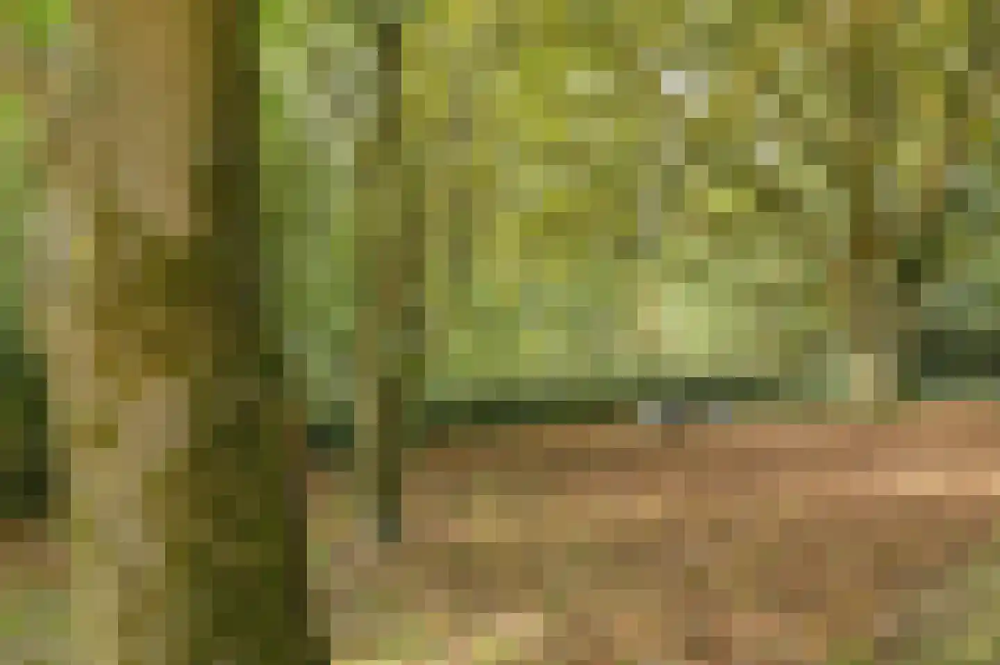 Lage Aard 14 Bavel thumbnail 47