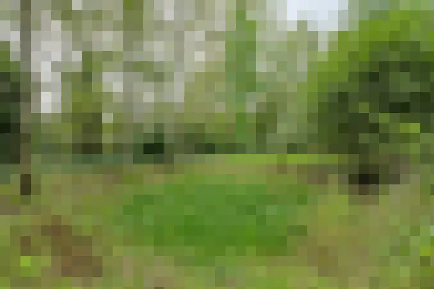 Lage Aard 14 Bavel thumbnail 52
