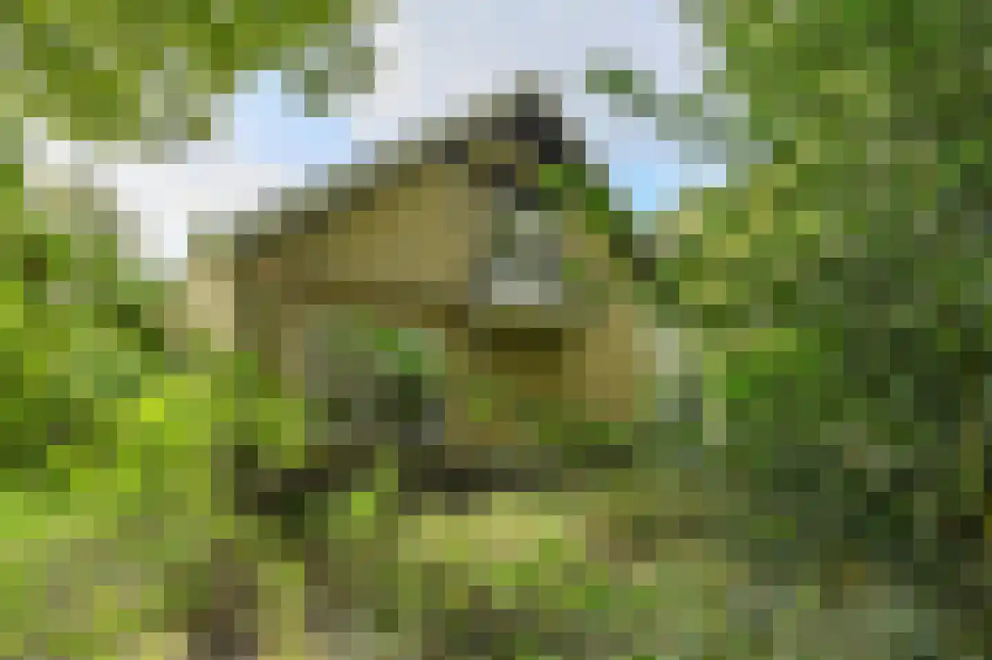 Lage Aard 14 Bavel thumbnail 54
