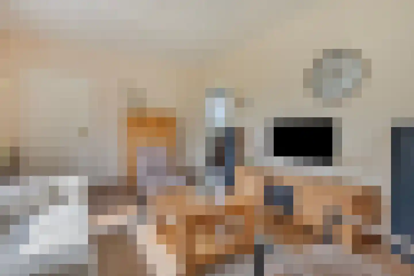 Lage Baan 1 Schaijk thumbnail 10