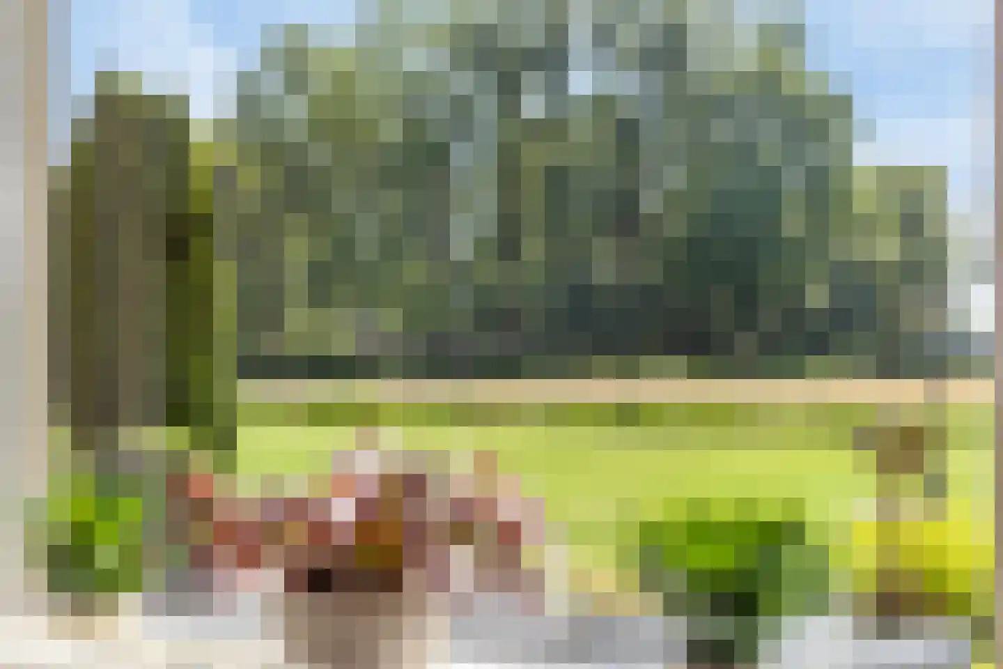 Lage Baan 1 Schaijk thumbnail 11