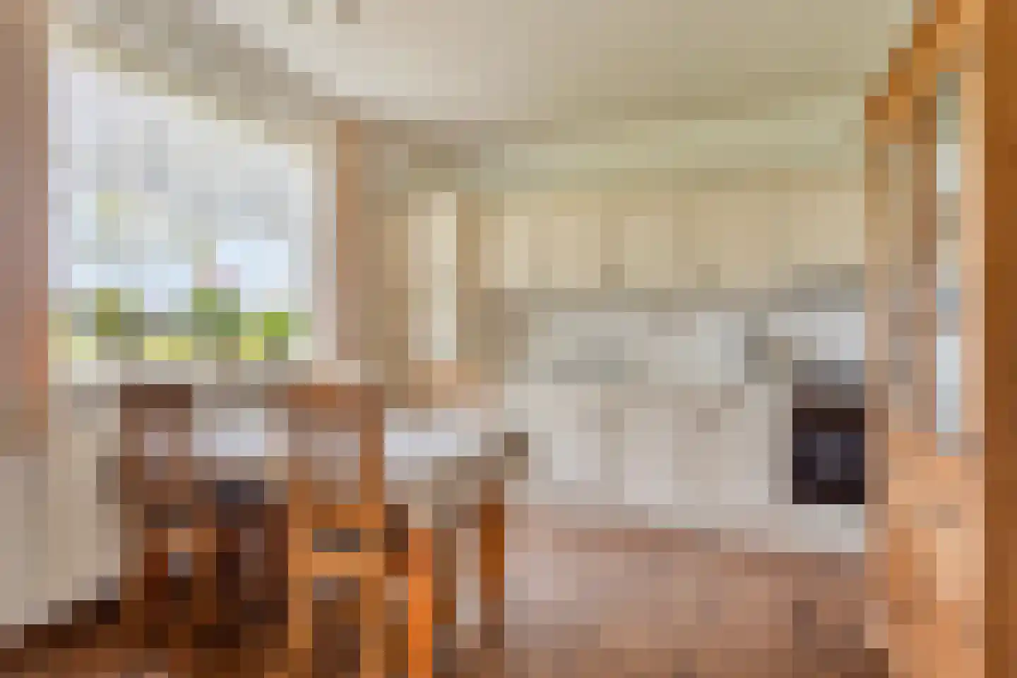 Lage Baan 1 Schaijk thumbnail 12