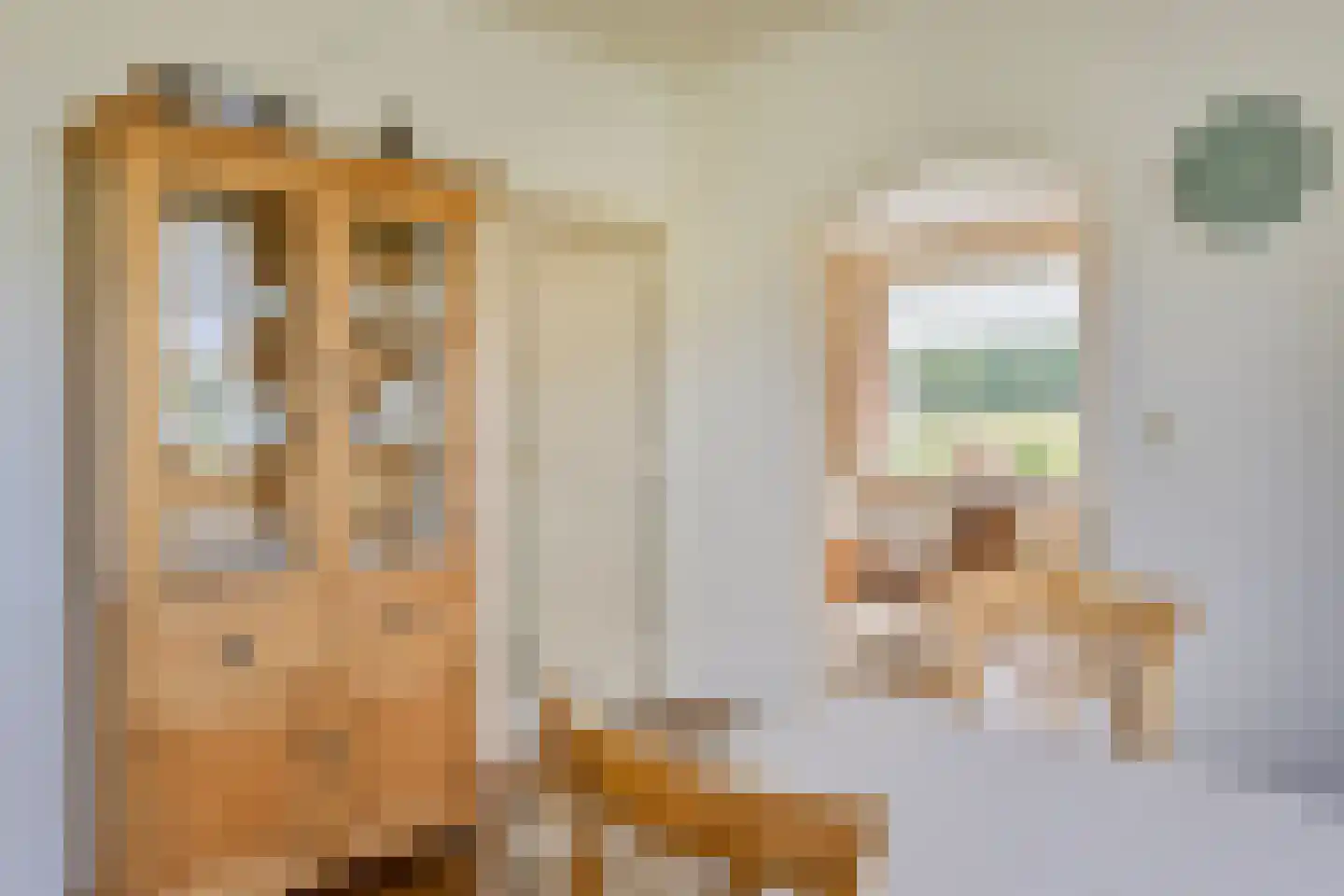 Lage Baan 1 Schaijk thumbnail 14