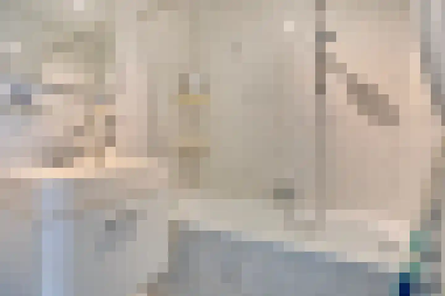 Lage Baan 1 Schaijk thumbnail 17