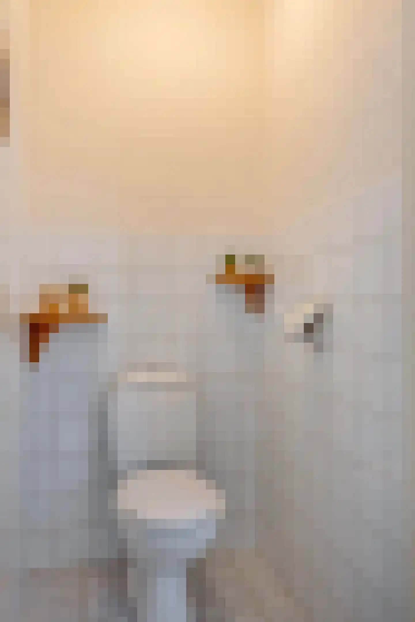 Lage Baan 1 Schaijk thumbnail 18