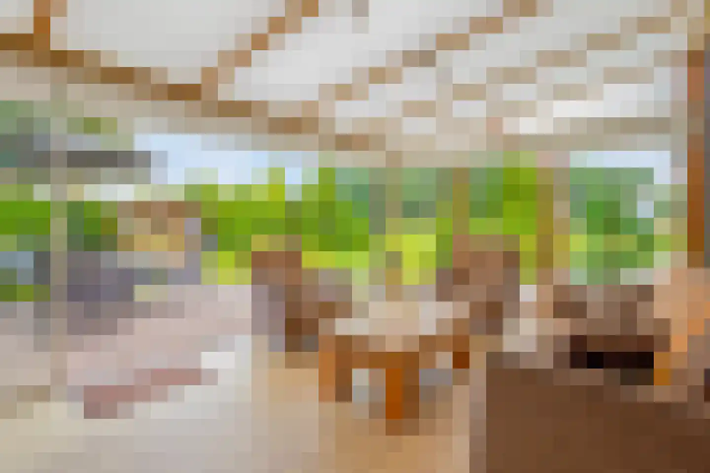 Lage Baan 1 Schaijk thumbnail 19