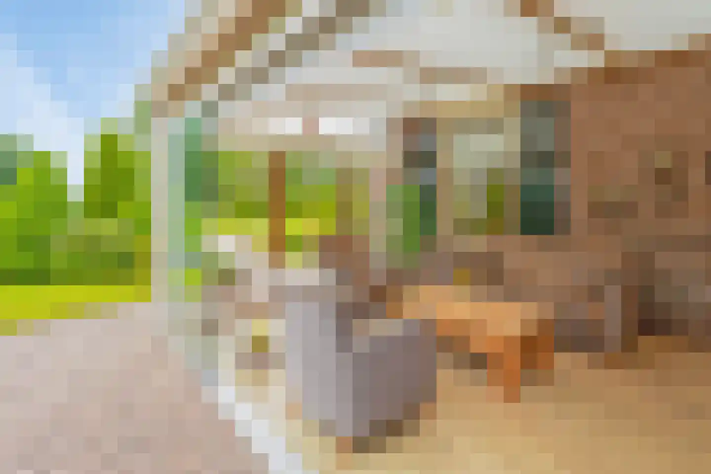 Lage Baan 1 Schaijk thumbnail 20