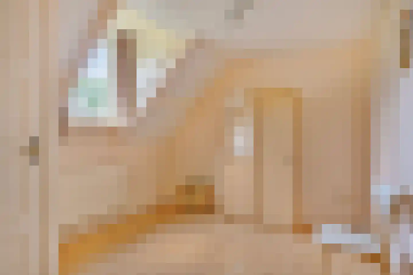 Lage Baan 1 Schaijk thumbnail 27