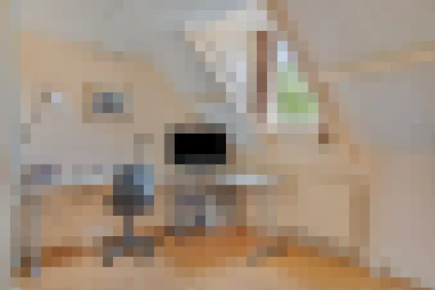Lage Baan 1 Schaijk thumbnail 28