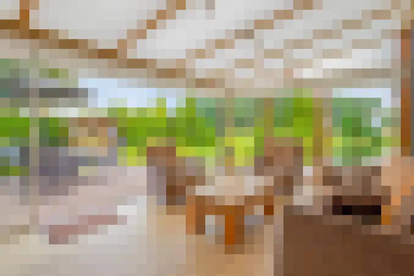 Lage Baan 1 Schaijk foto 3