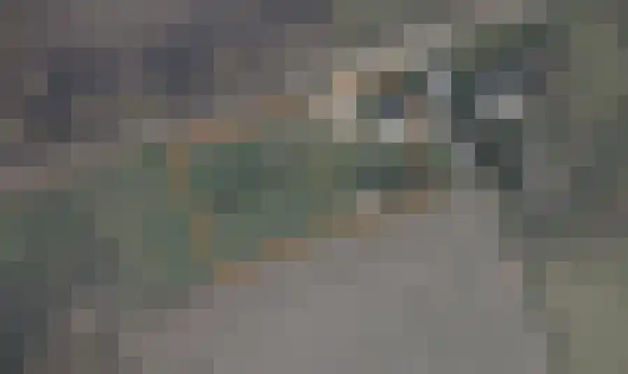 Lage Baan 1 Schaijk thumbnail 38
