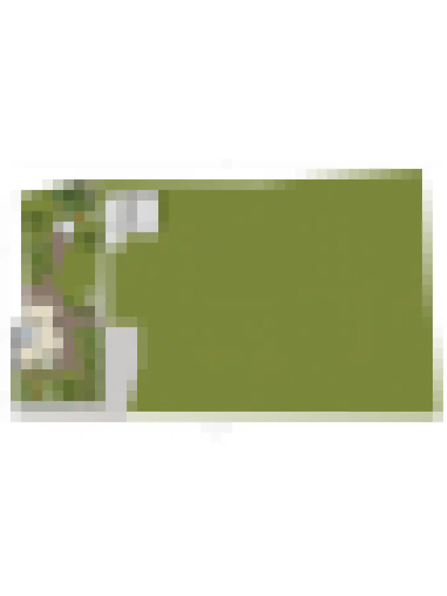 Lage Baan 1 Schaijk thumbnail 39