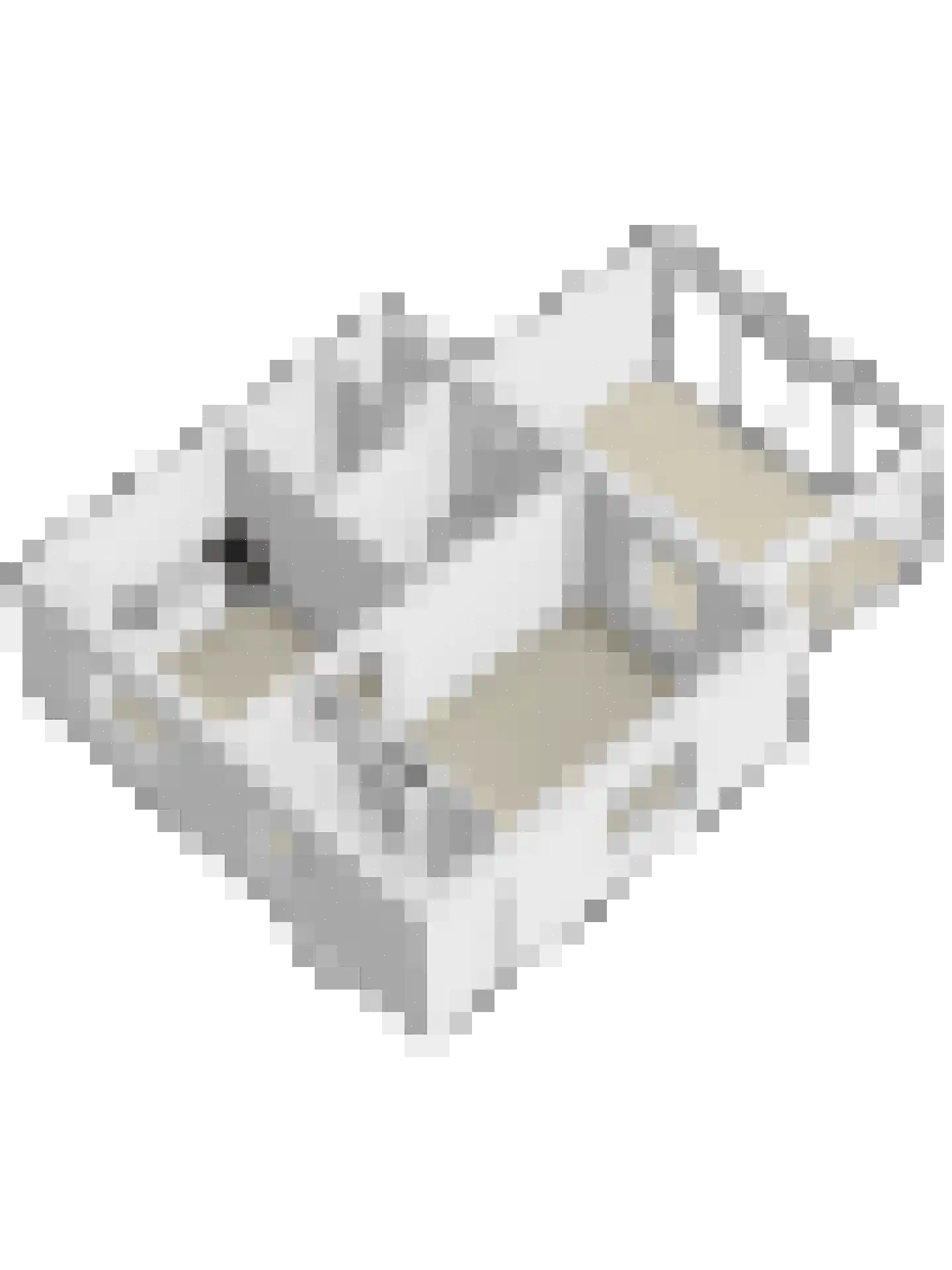 Lage Baan 1 Schaijk thumbnail 42