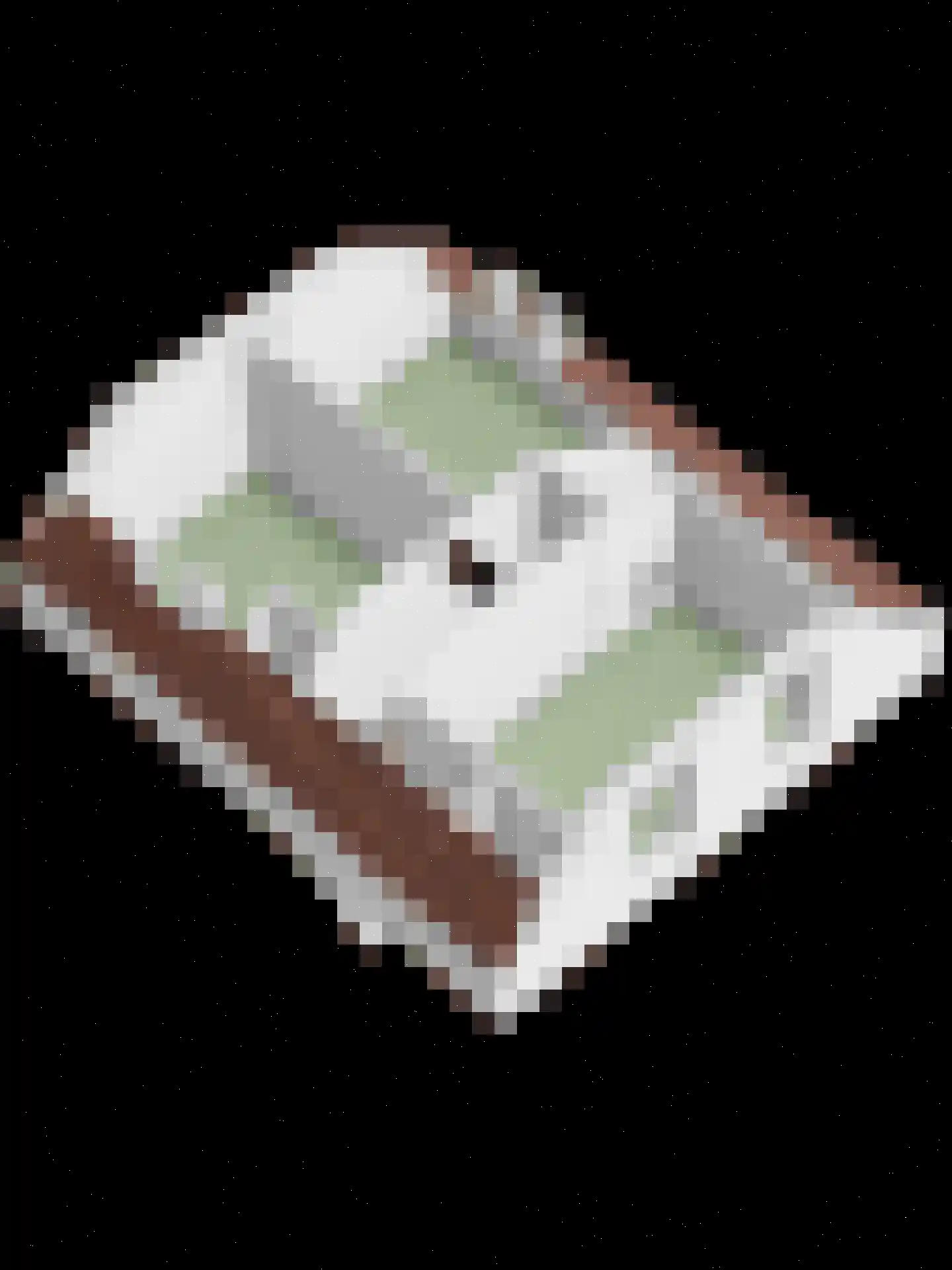Lage Baan 1 Schaijk thumbnail 44