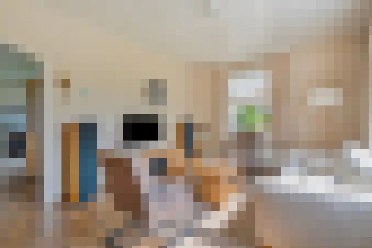 Lage Baan 1 Schaijk thumbnail 7