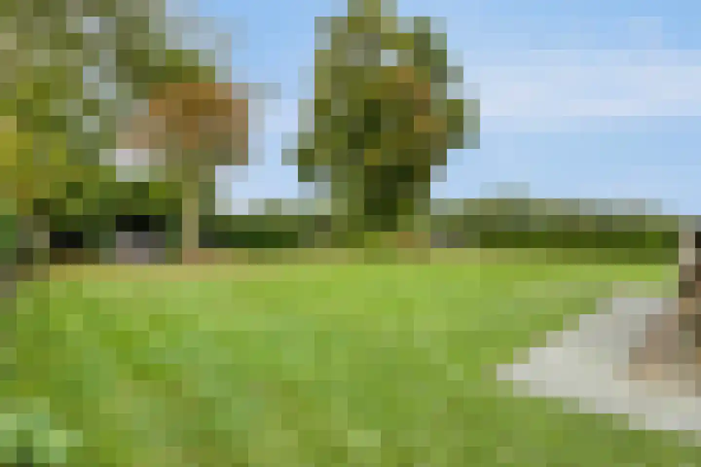 Lage Baan 10 a Schaijk thumbnail 37