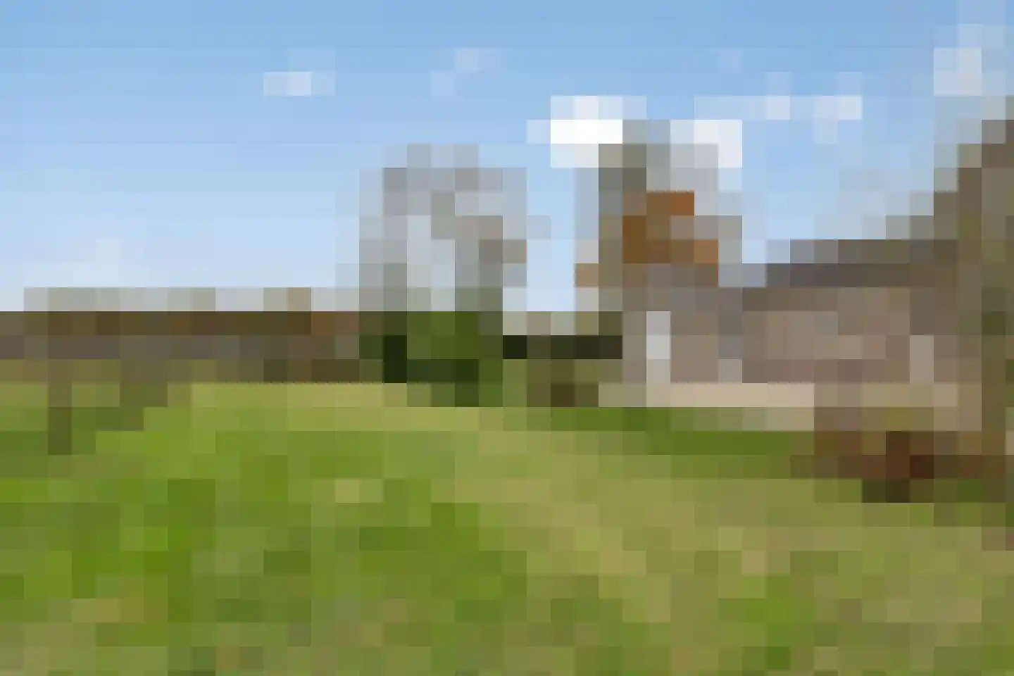 Lage Baan 10 a Schaijk thumbnail 40
