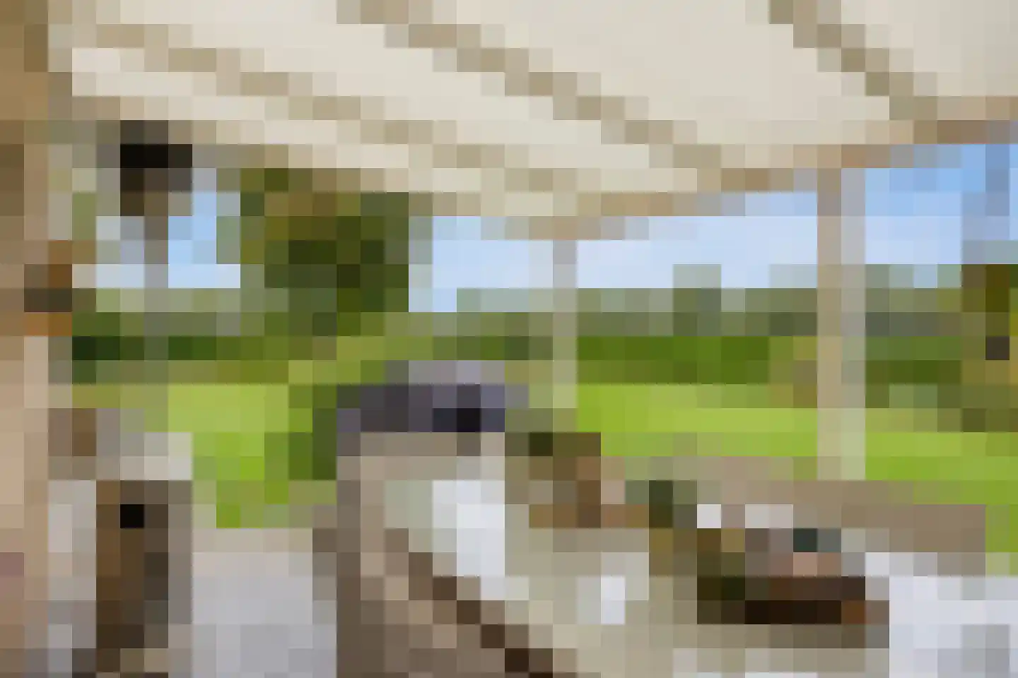 Lage Baan 10 a Schaijk thumbnail 48