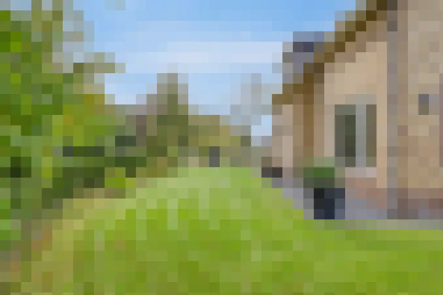 Lage Baan 10 a Schaijk thumbnail 51