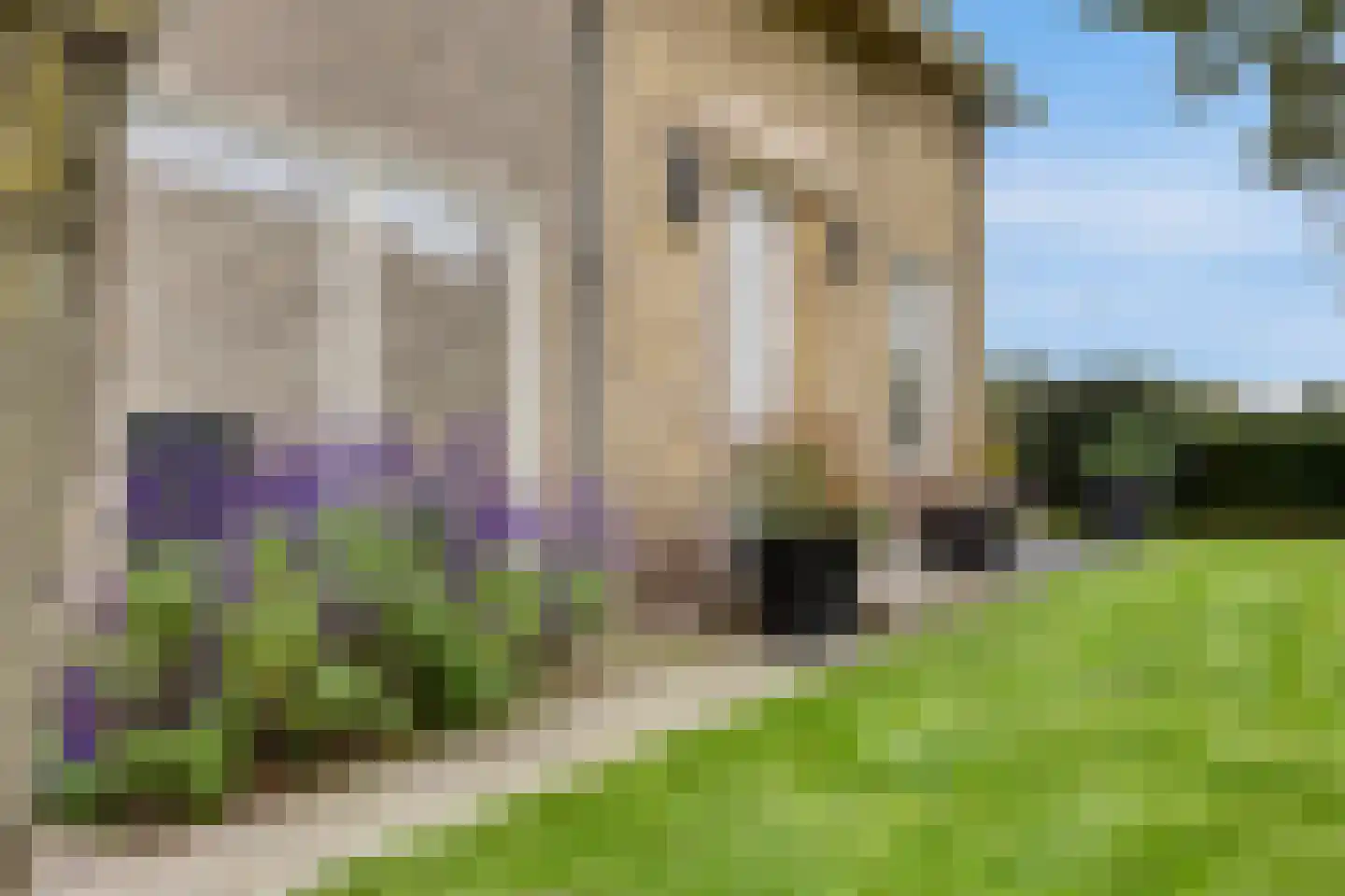 Lage Baan 10 a Schaijk thumbnail 52