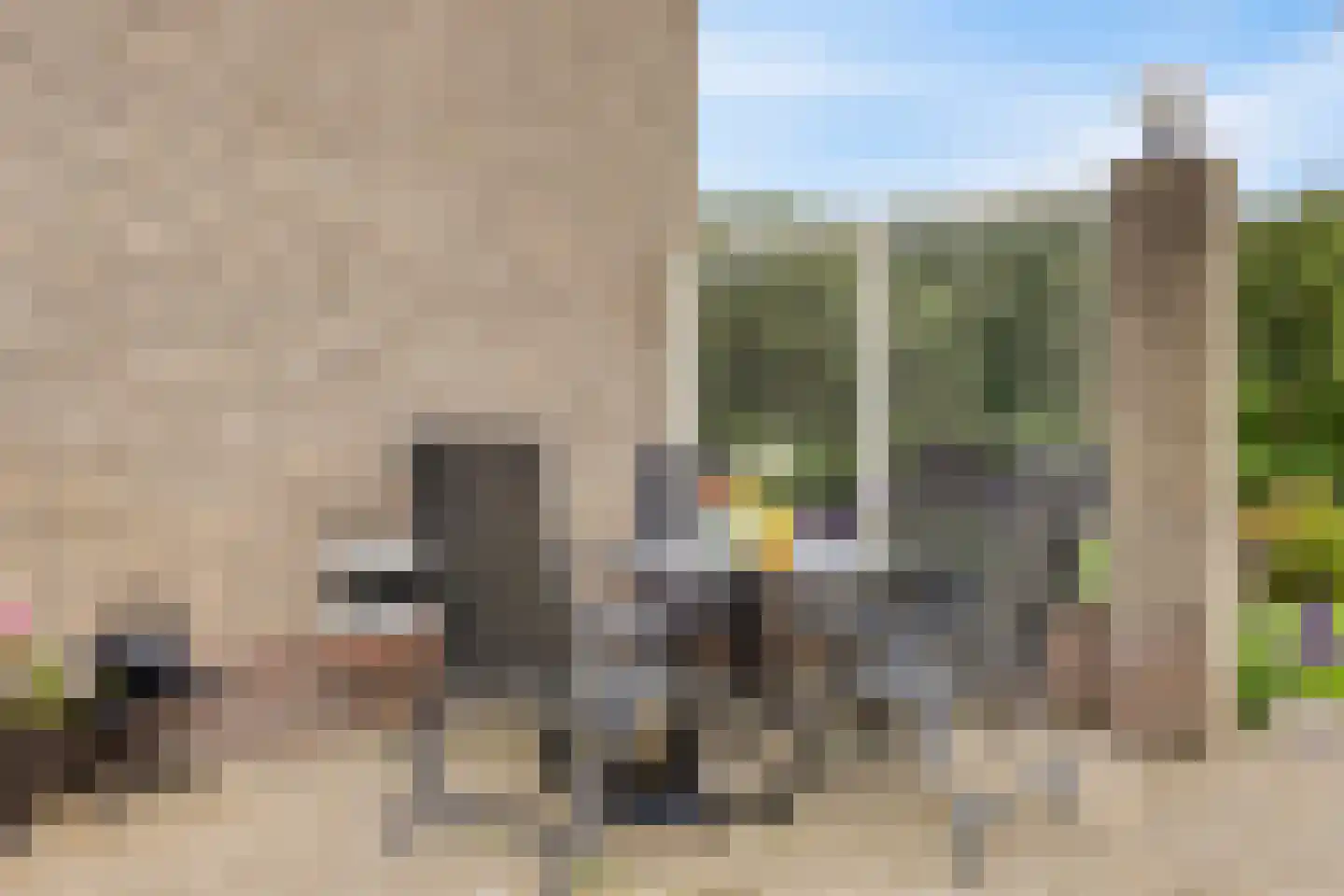 Lage Baan 10 a Schaijk thumbnail 53