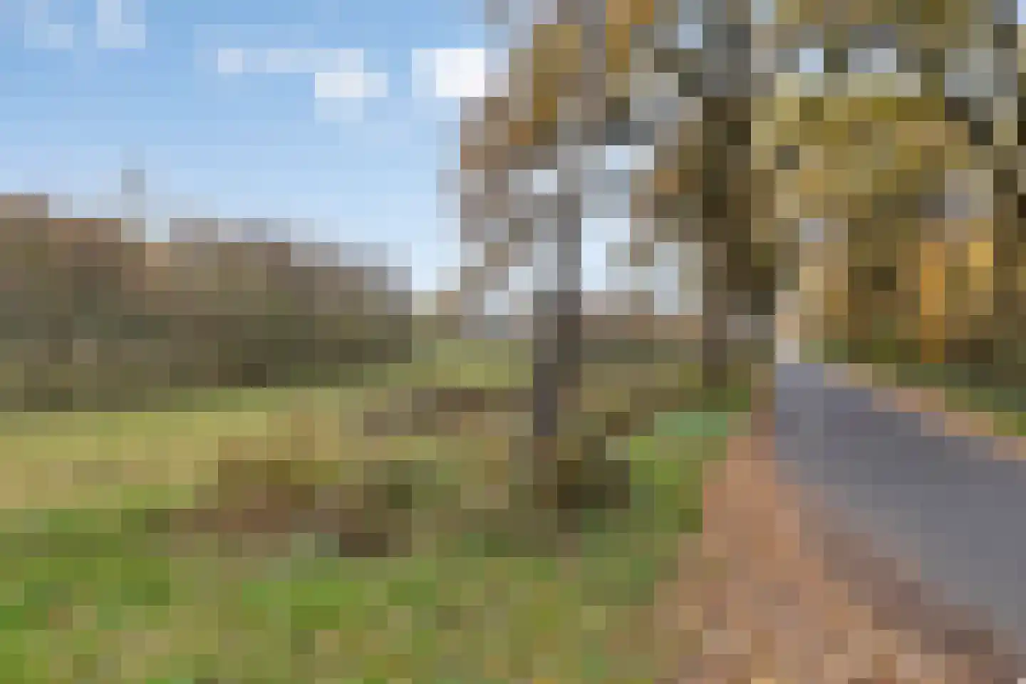 Lage Baan 10 a Schaijk thumbnail 54