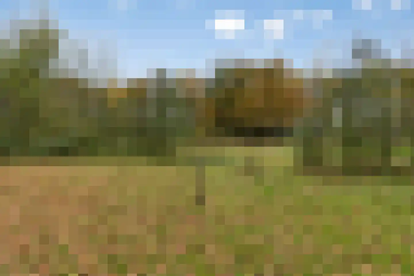 Lage Baan 10 a Schaijk thumbnail 55