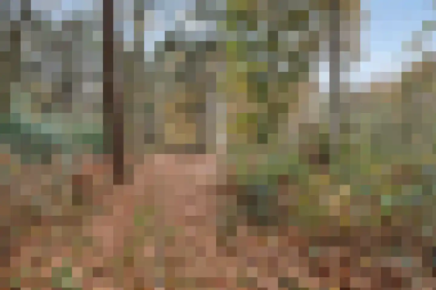 Lage Baan 10 a Schaijk thumbnail 57