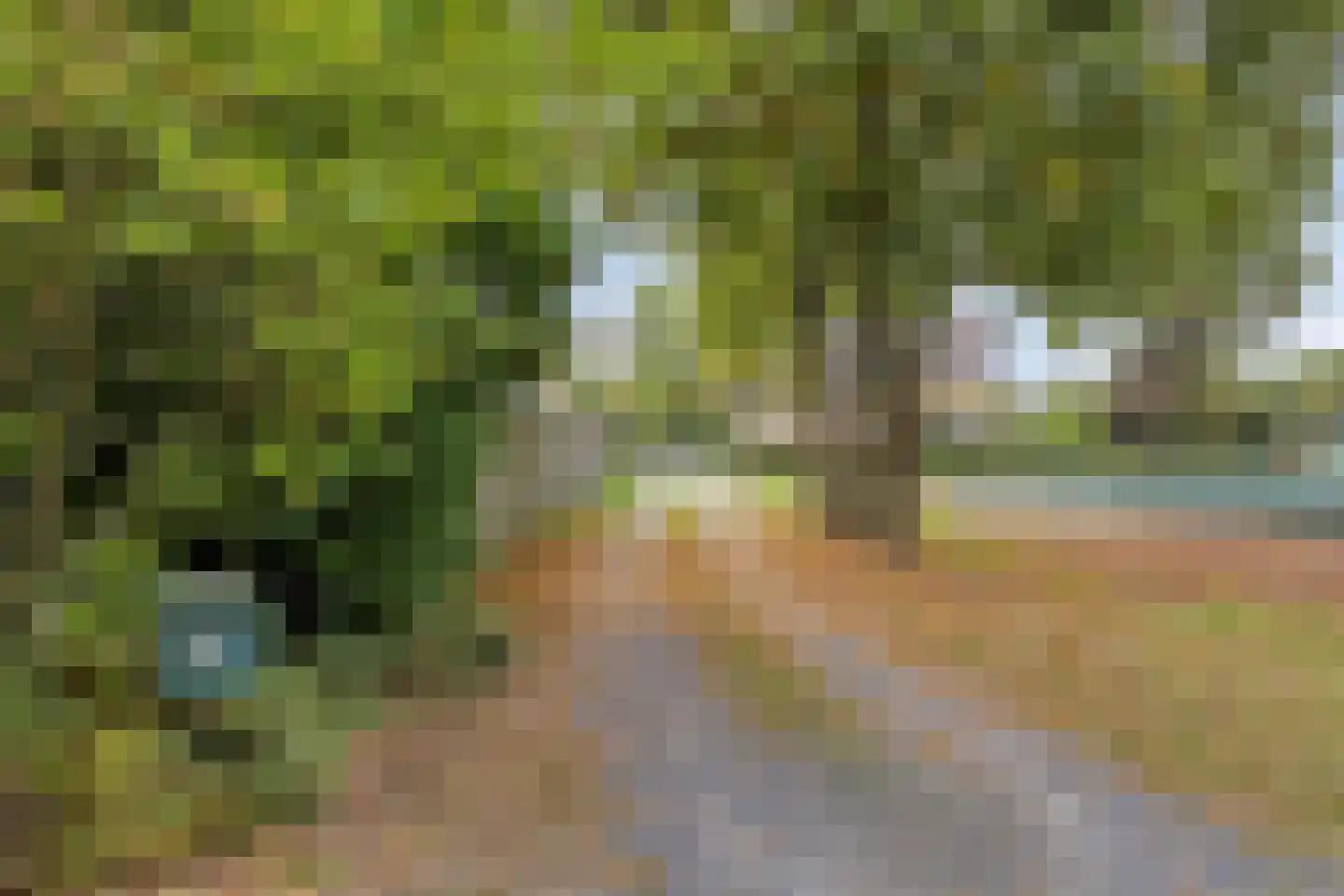 Lage Baan 10 a Schaijk thumbnail 60