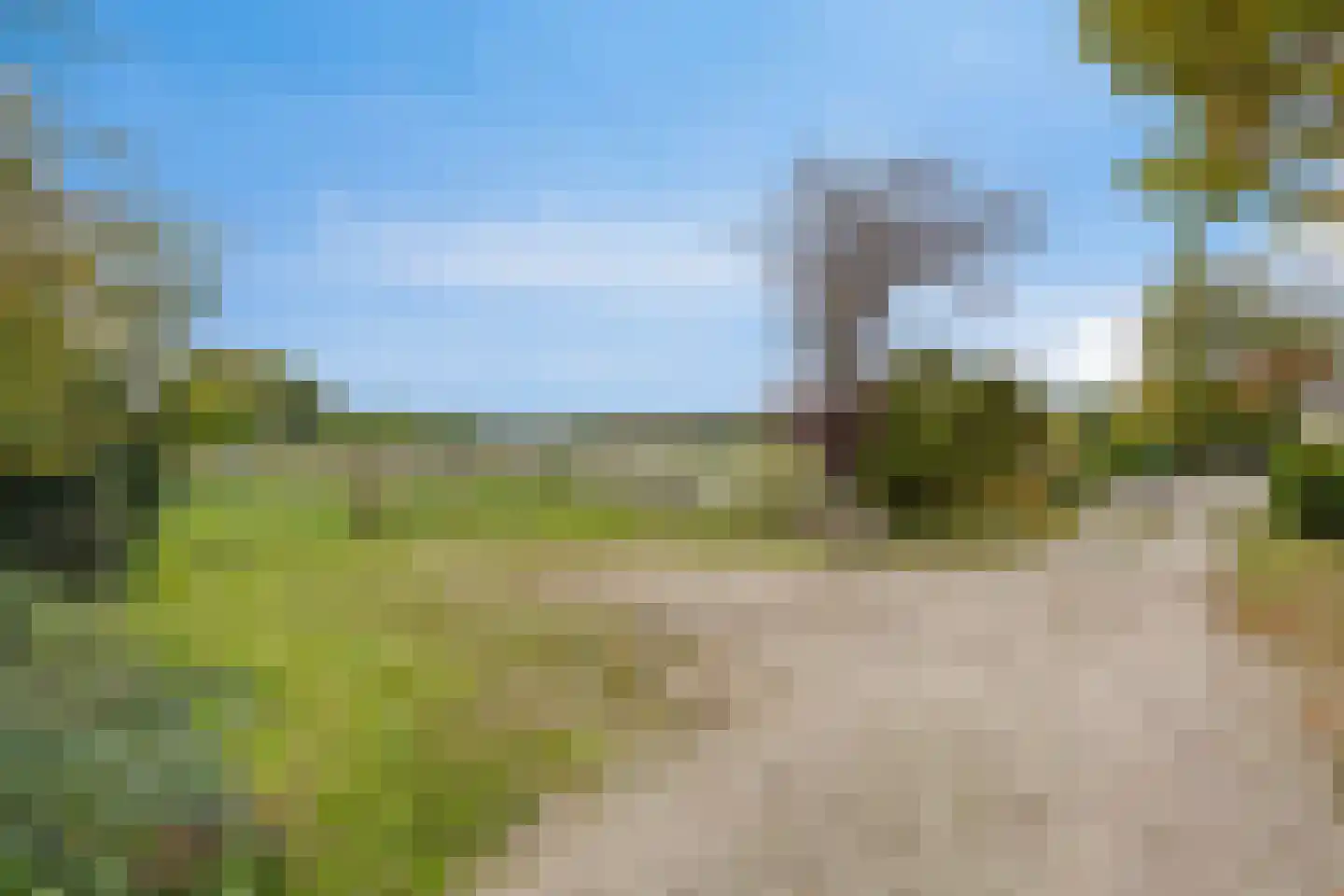 Lage Baan 10 a Schaijk thumbnail 61