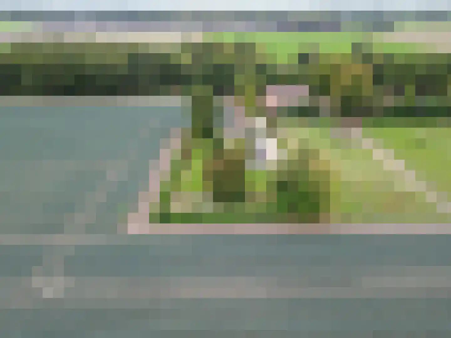 Lage Baan 10 a Schaijk thumbnail 65