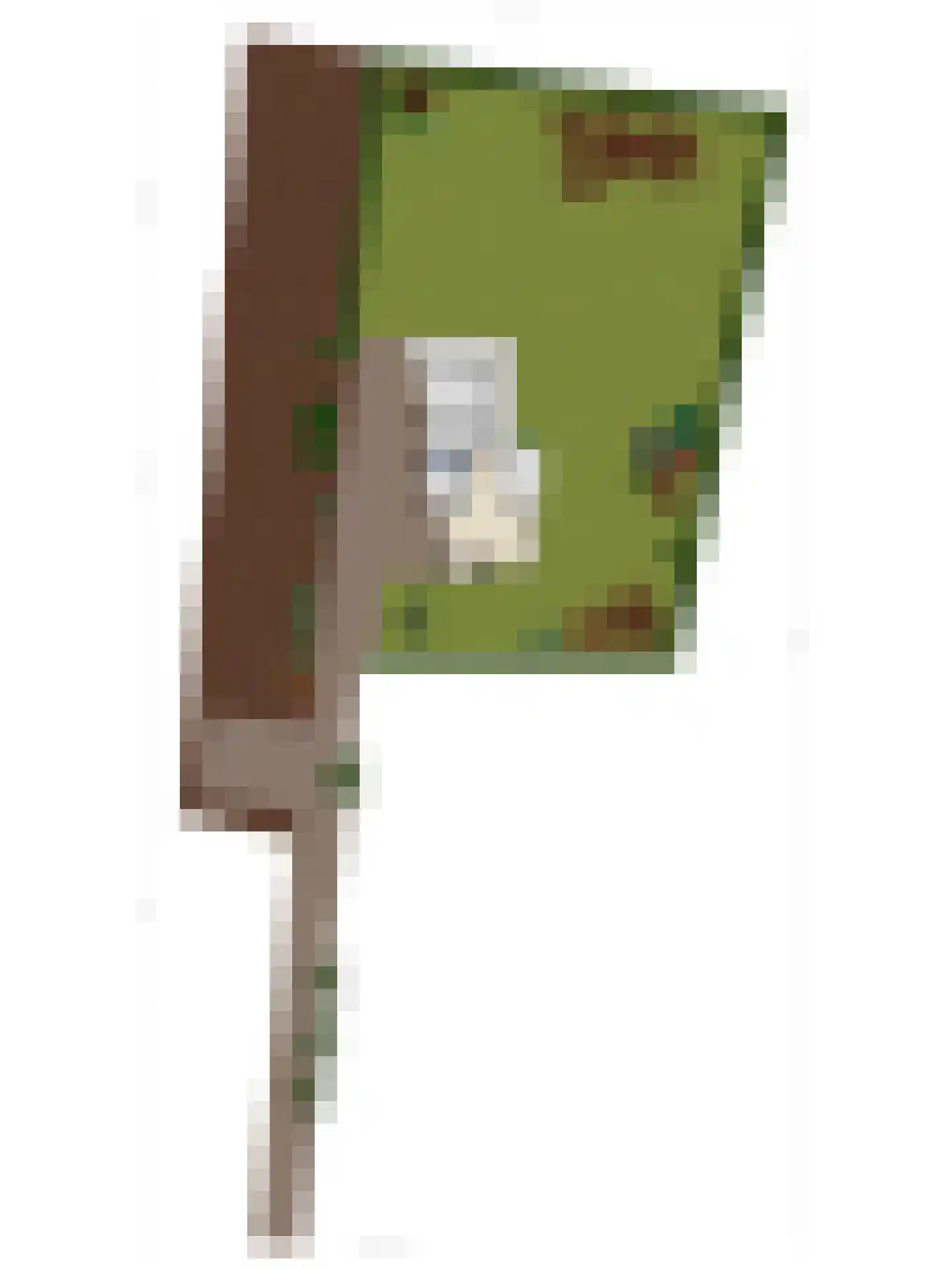 Lage Baan 10 a Schaijk thumbnail 69