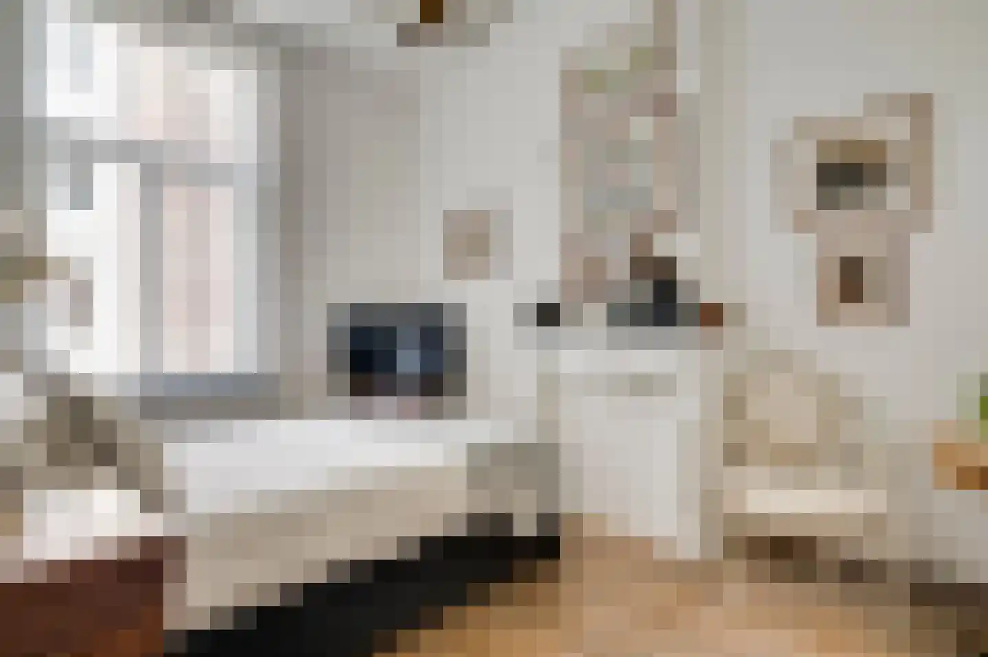 Lage Barakken 1 Maastricht thumbnail 13