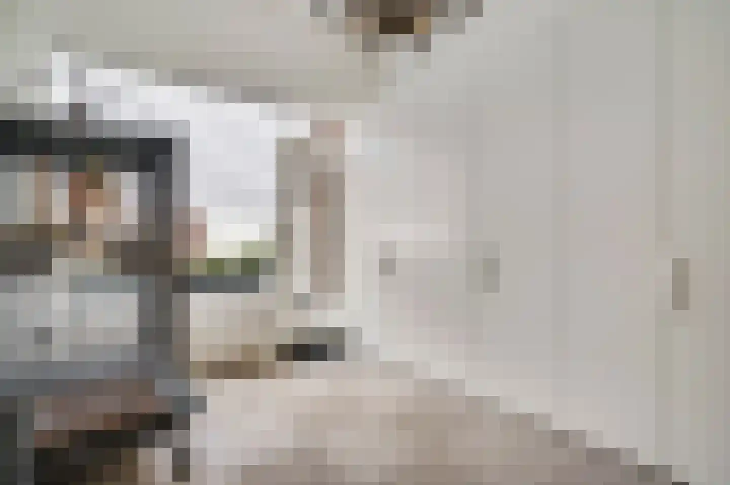Lage Barakken 1 Maastricht thumbnail 16