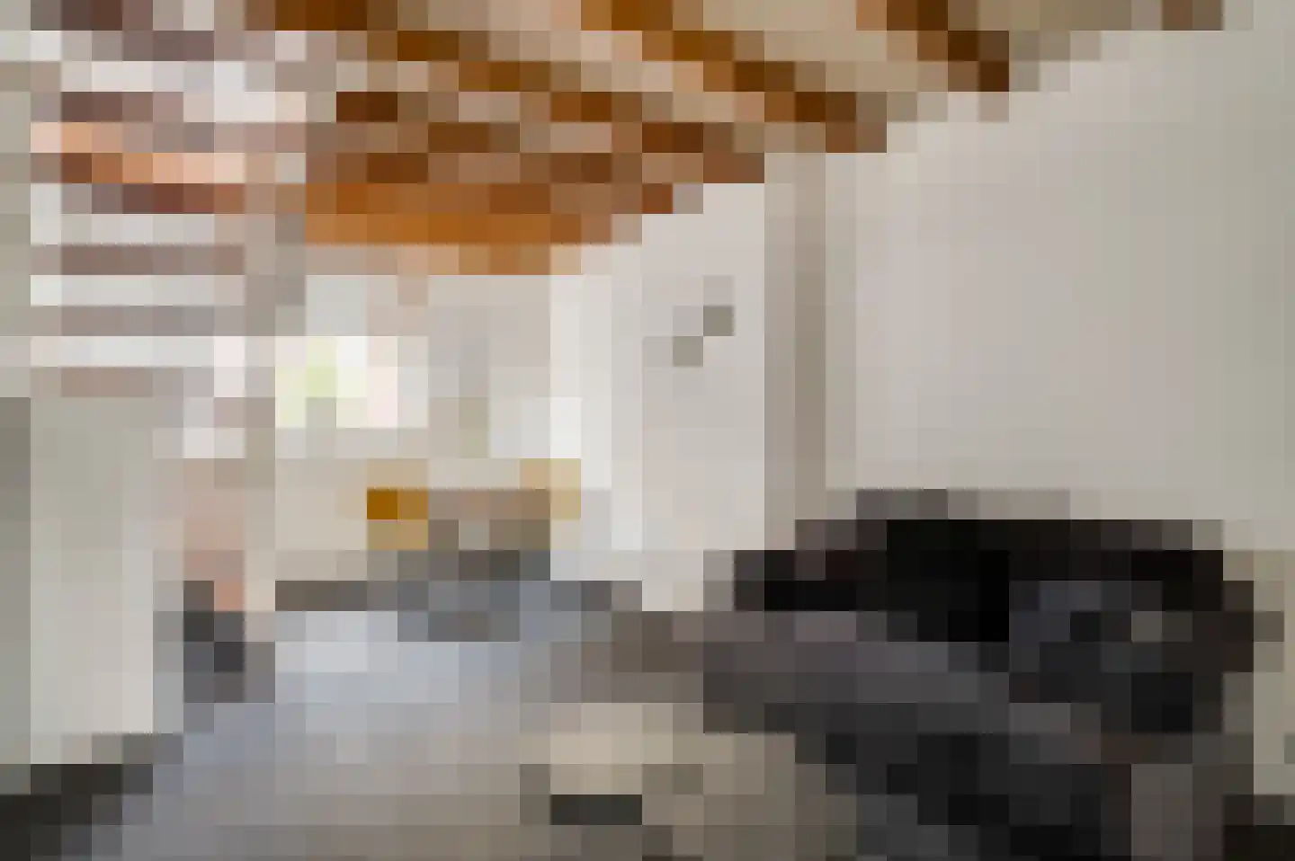 Lage Barakken 1 Maastricht thumbnail 17