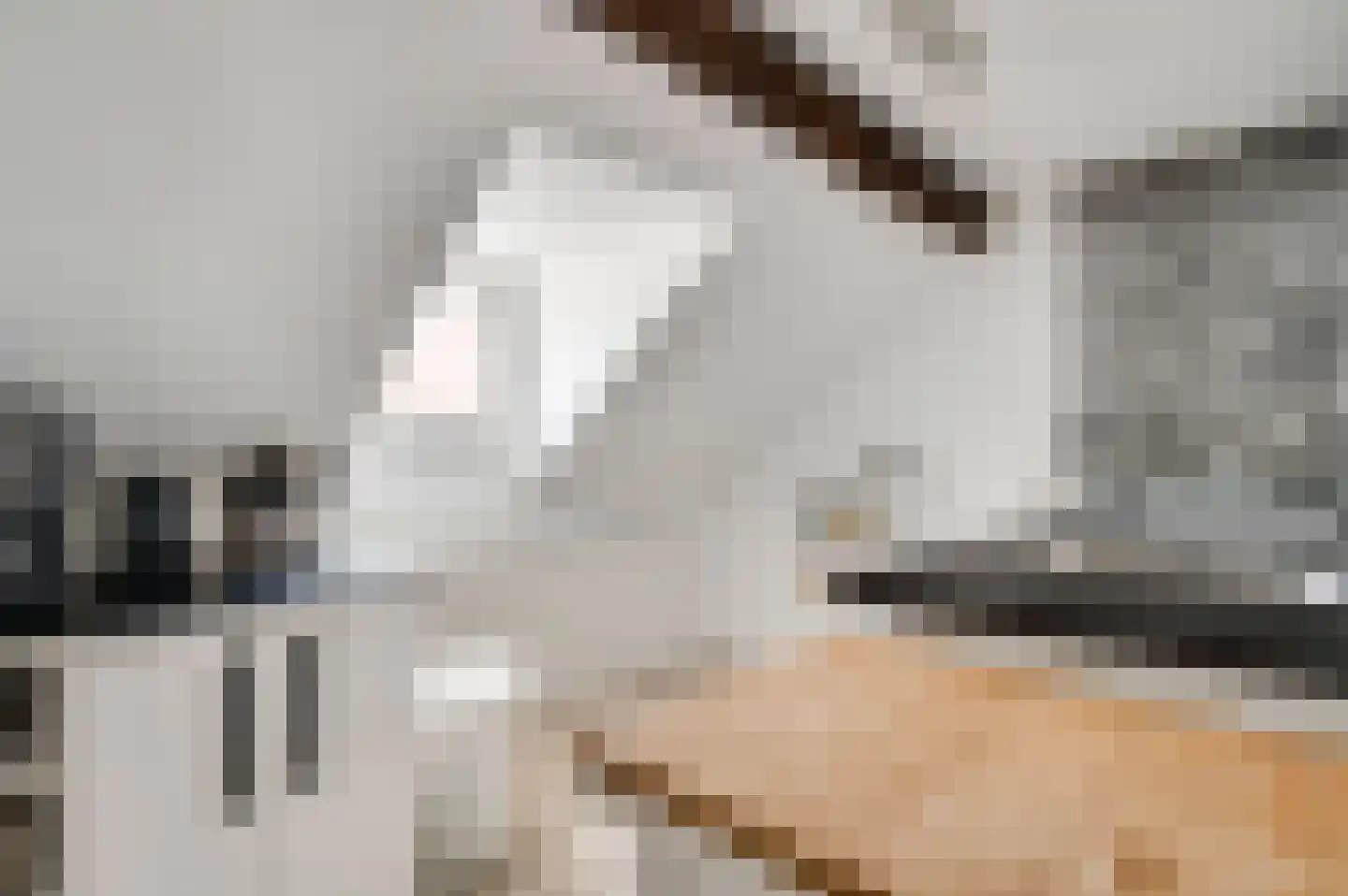 Lage Barakken 1 Maastricht thumbnail 24