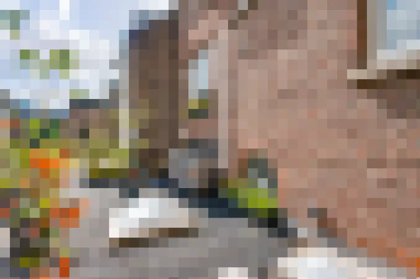 Lage Barakken 1 Maastricht thumbnail 4