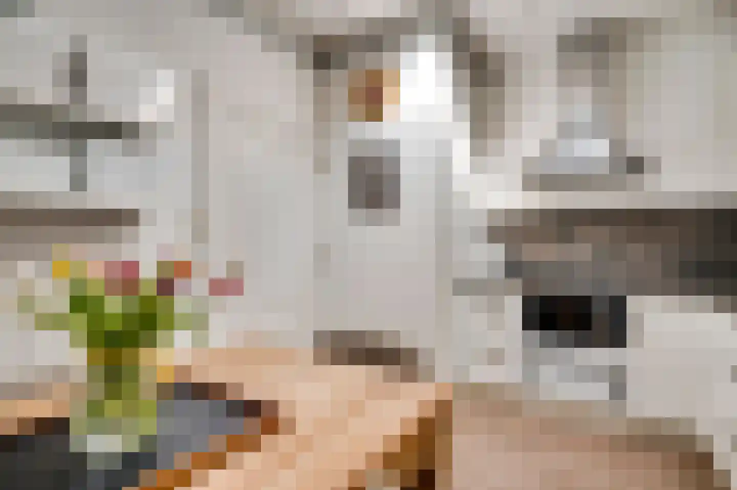 Lage Barakken 1 Maastricht thumbnail 7