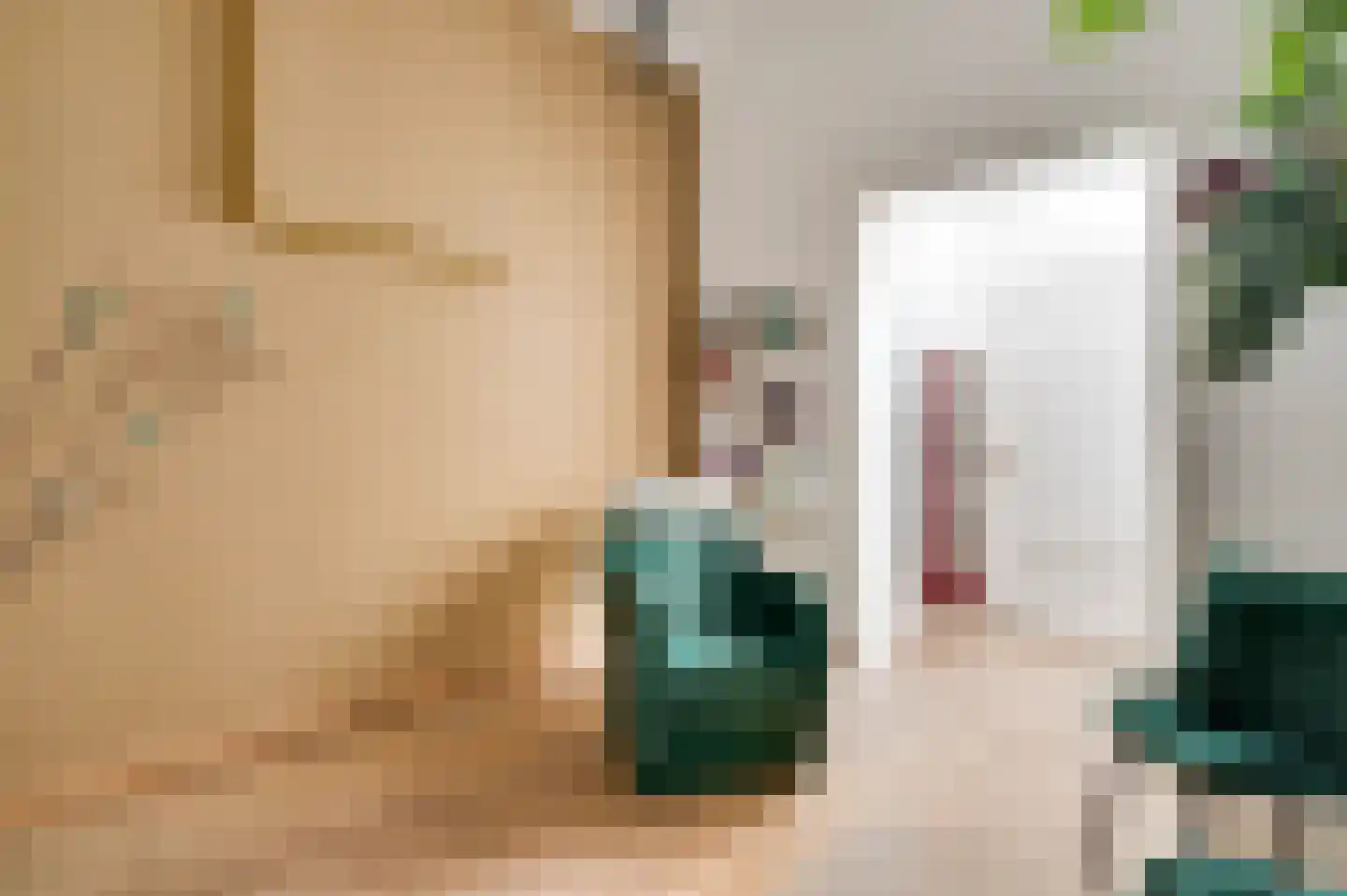 Lage Barakken 1 Maastricht thumbnail 8