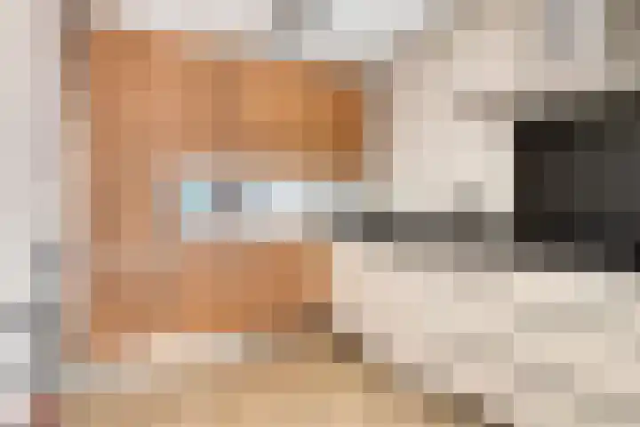 Lage Barakken 2 A Maastricht thumbnail 12