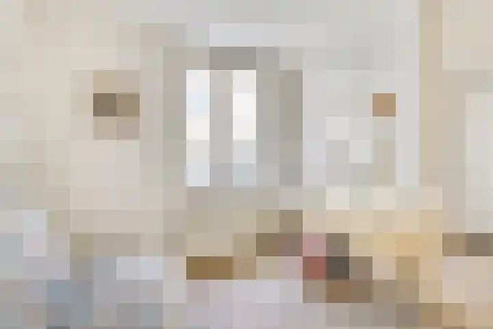 Lage Barakken 2 A Maastricht thumbnail 22