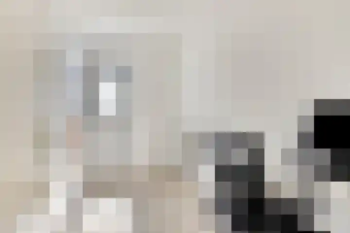Lage Barakken 2 A Maastricht thumbnail 23
