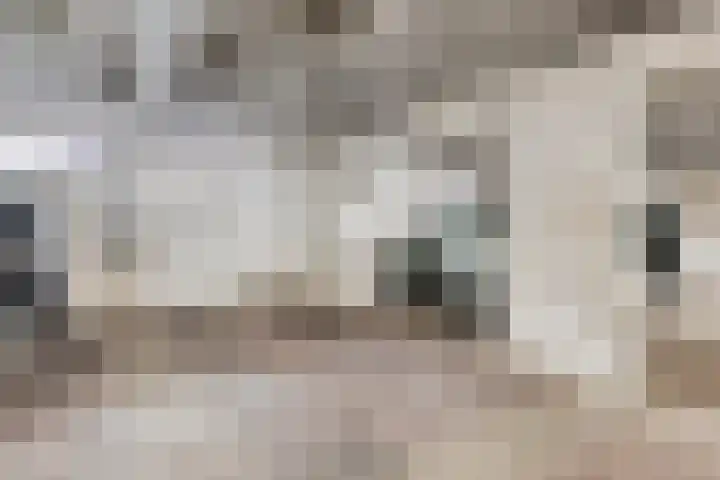 Lage Barakken 2 A Maastricht thumbnail 30