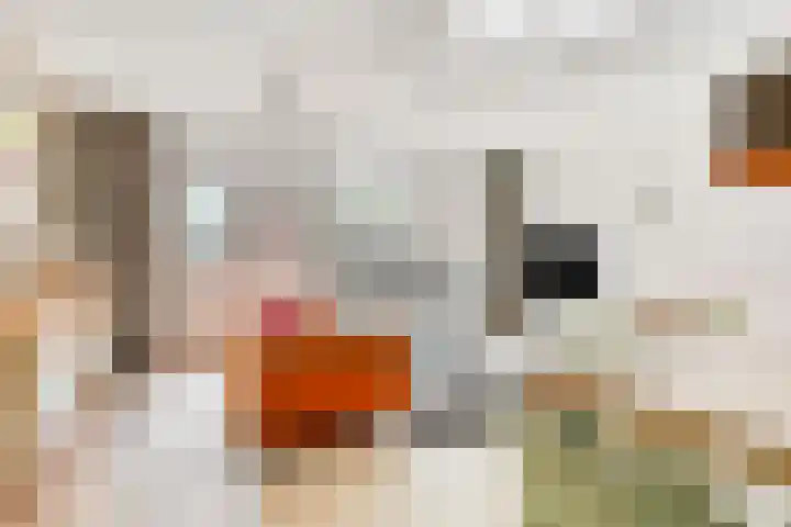 Lage Barakken 2 A Maastricht thumbnail 8