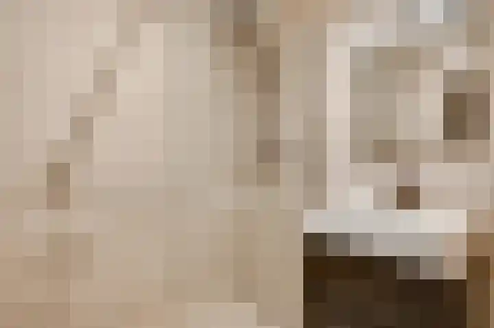 Lage Barakken 2 F Maastricht thumbnail 15
