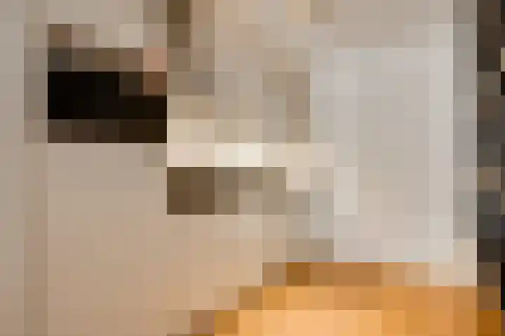 Lage Barakken 2 F Maastricht thumbnail 4