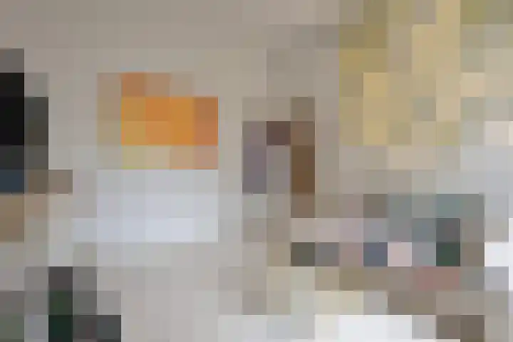 Lage Barakken 23 B Maastricht thumbnail 17