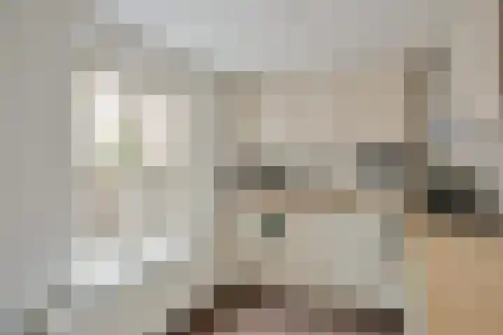 Lage Barakken 23 B Maastricht thumbnail 18